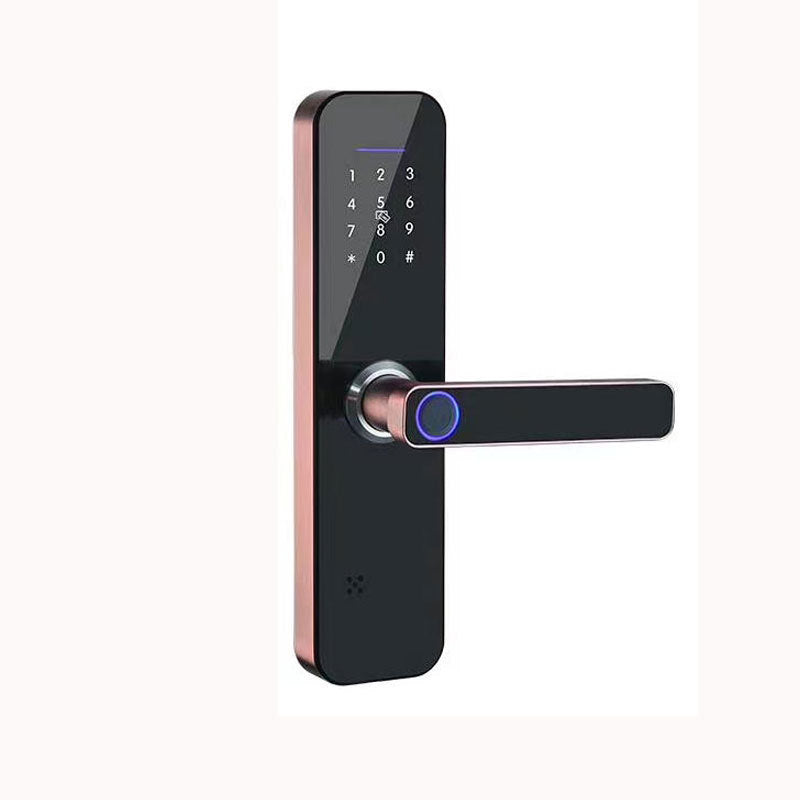 Apartment Office Wooden Door Electronic Fingerprint Lock with WiFi and TTLOCKAPP Integration"