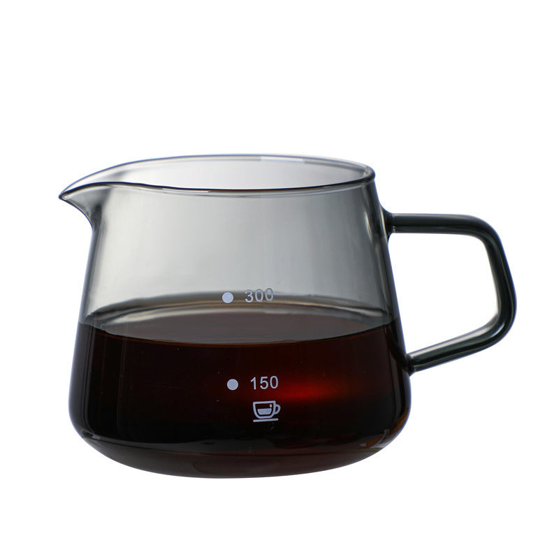 Glass Coffee Pot Infuser Hand Flushing Appliance Filter Cup
